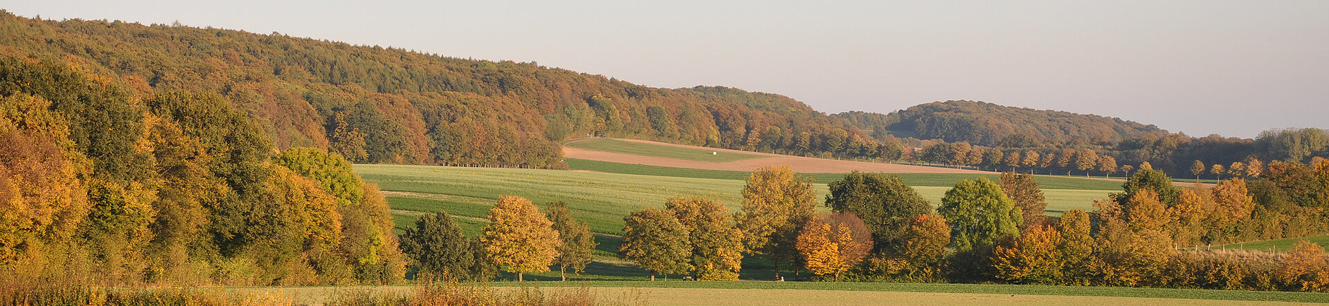 Willkommen beim|Naturschutzzentrum Kreis Coesfeld