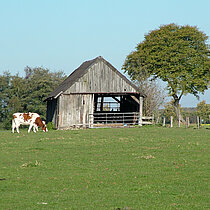 NSG Felsbachaue - Stall auf der Weide.