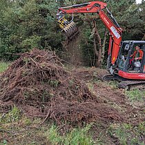 Entbuschung im Süskenbrocksmoor 2025.