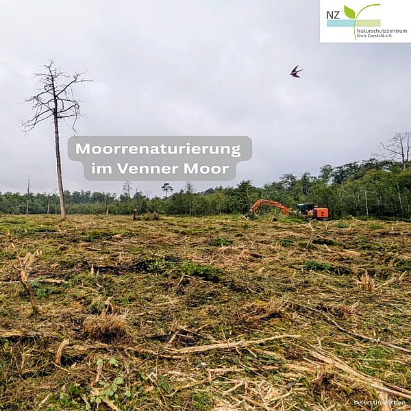 Neues aus dem Venner Moor! 🐍Seit Mittwoch ist der Mulchbagger der Firma Lehnhoff wieder im&hellip;