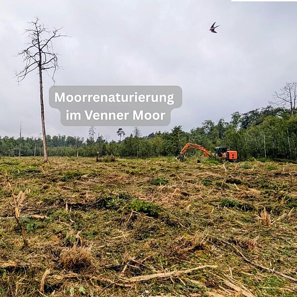 Neues aus dem Venner Moor! 🐍Seit Mittwoch ist der Mulchbagger der Firma Lehnhoff wieder im&hellip;