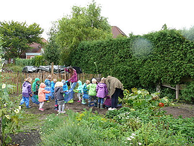 Kartoffelernte mit dem Kindergarten am Alten Hof Schoppmann (C. Kähler)