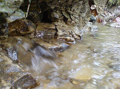 Am Grund sprudelnde Baumberger Quelle.