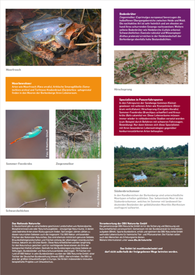 Infotafel 2 in den Borkenbergen