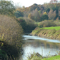 Typische Mäanderbögen der Lippe