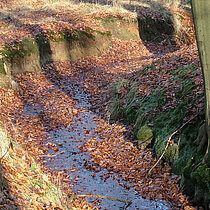 Sandbach im NSG Waldflächen im Sandforter Forst