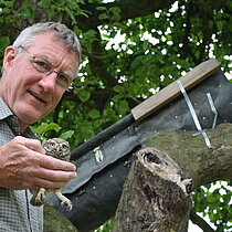 Franz Rolf bei der Steinkauz-Bruterfolgskontrolle