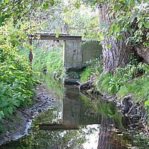 Kulturhistorisch bedeutsam: die Wasserregulierung