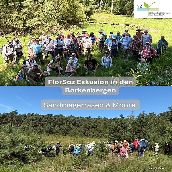Instagram Post 18141673663500248 FlorSoz-Exkursion in den Borkenbergen 🌿Zwei spannende und ereignisreiche Tage liegen hinter uns!…