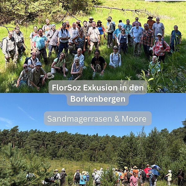 FlorSoz-Exkursion in den Borkenbergen 🌿Zwei spannende und ereignisreiche Tage liegen hinter uns!&hellip;