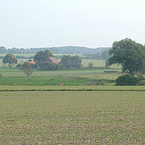 Berkelaue zwischen Billerbeck und Coesfeld mit Feldern, Weiden und Gehöft.