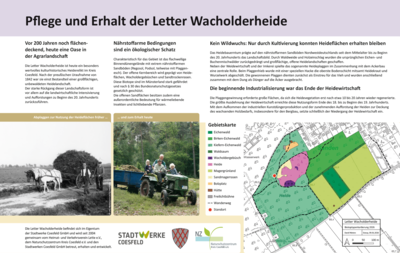 Infotafel: Wacholderheide früher und heute