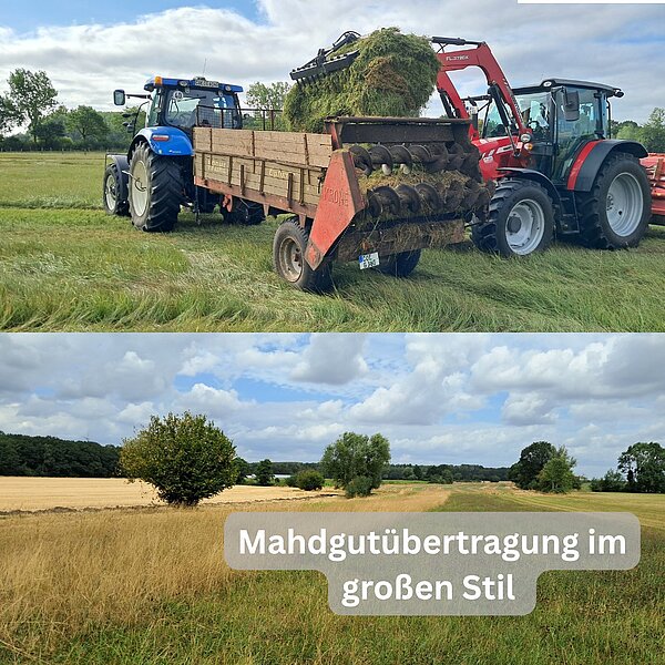 Mahdgutübertragung im großen Stil! 🌱Vor kurzem haben wir in mehreren Schutzgebieten wieder&hellip;