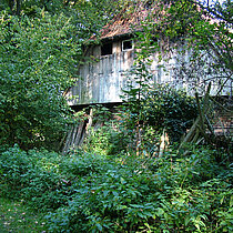 Haus Burlo zwischen Bäumen und Büschen.