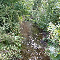 Naturnaher Flussabschnitt