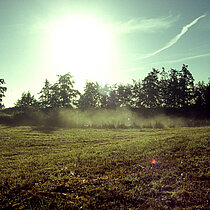 Nebelschwaden über den Wiesen