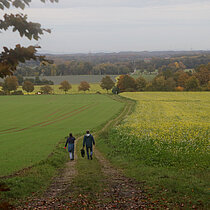 Zwei Wanderer auf dem Weg zwischen den Feldern, mit Blick auf das Münsterland.