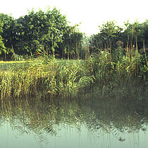 Blick in das Schutzgebiet Hehrburg